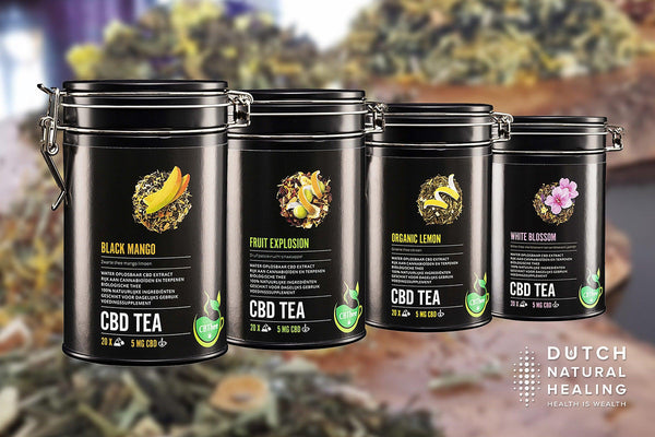 CBD-Tee: Natürliche Teemischungen mit wasserlöslichem CBD