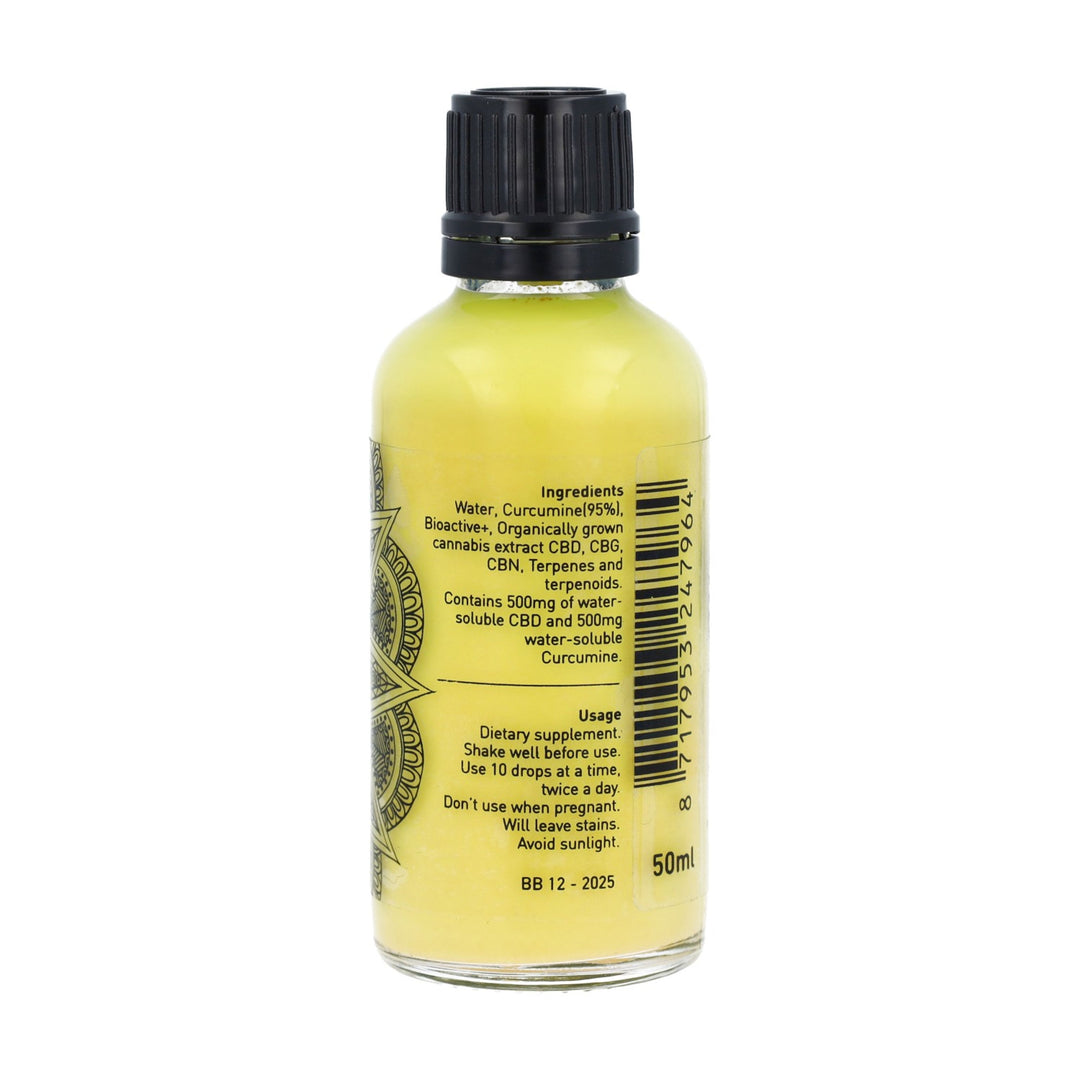 CBDActive+ Curcumine Edition