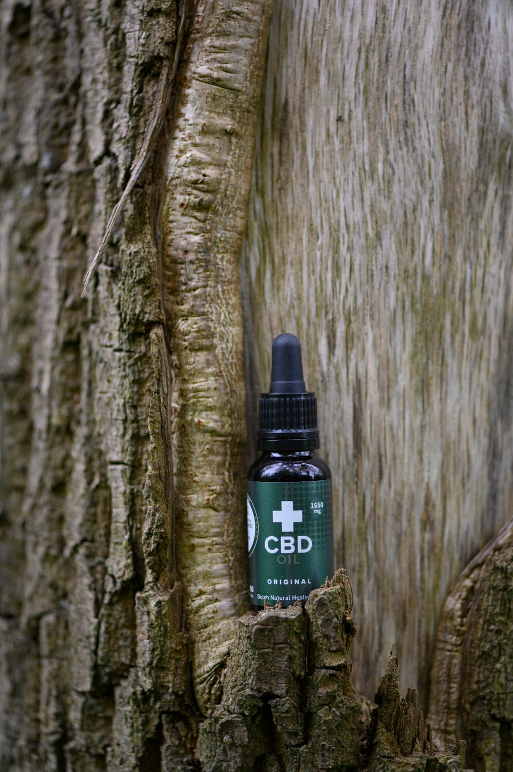 CBD Oil