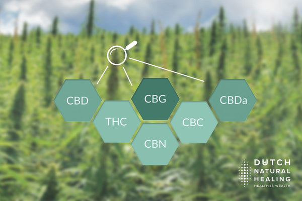 Cannabinoids explained: what are the differences between CBD, CBG and THC?