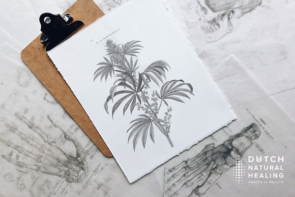 How Using CBD Oil For Chronic Pain Is Possible (According To The Evidence)