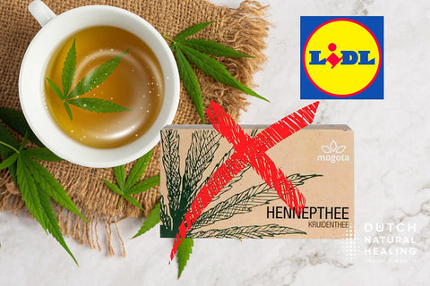 Mogota tea: Storm in a teacup? Lidl recalls CBD Hemp Tea due to high THC-levels - Dutch Natural Healing