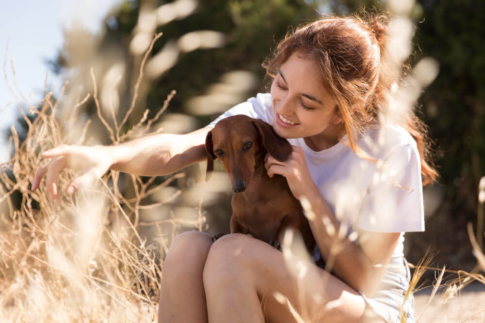 What dosage of CBD oil is suitable for my dog?