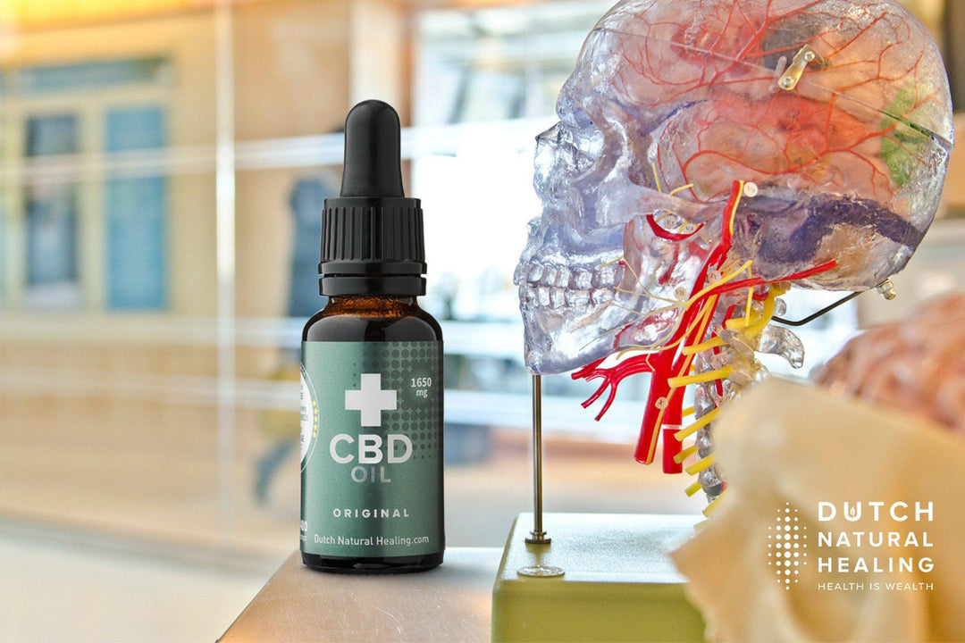 Study: ‘Cannabidiol from CBD oil improves blood flow in the brain’ - Dutch Natural Healing