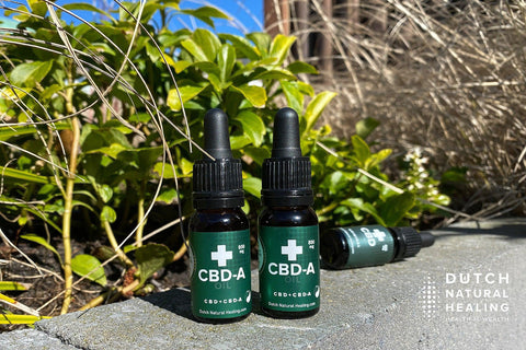 What is CBD-A Oil? Discover the benefits of Cannabidiolic-acid (CBDa) - Dutch Natural Healing