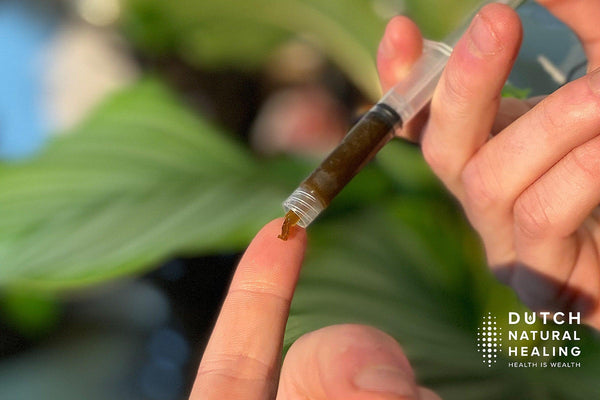 What is CBD Paste & How to Use it: A Beginner's Guide