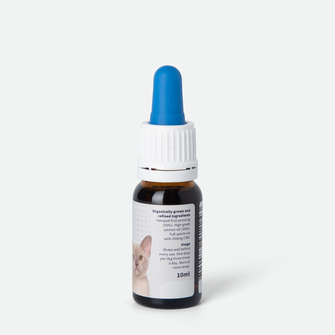 CBD Oil for Cats 2% - Terpene Free