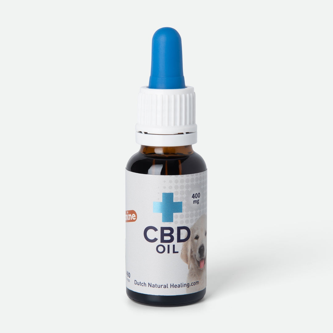CBD Oil for Dogs 2%