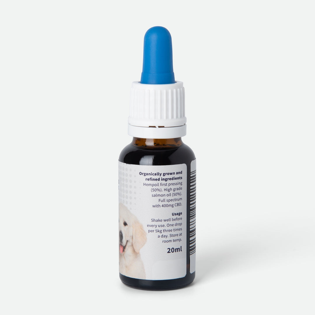 CBD Oil for Dogs 2%