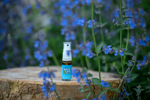 Back 2 life CBD oil