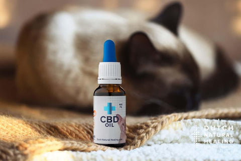 CBD Oil for Cats 2% - Terpene Free - Dutch Natural Healing